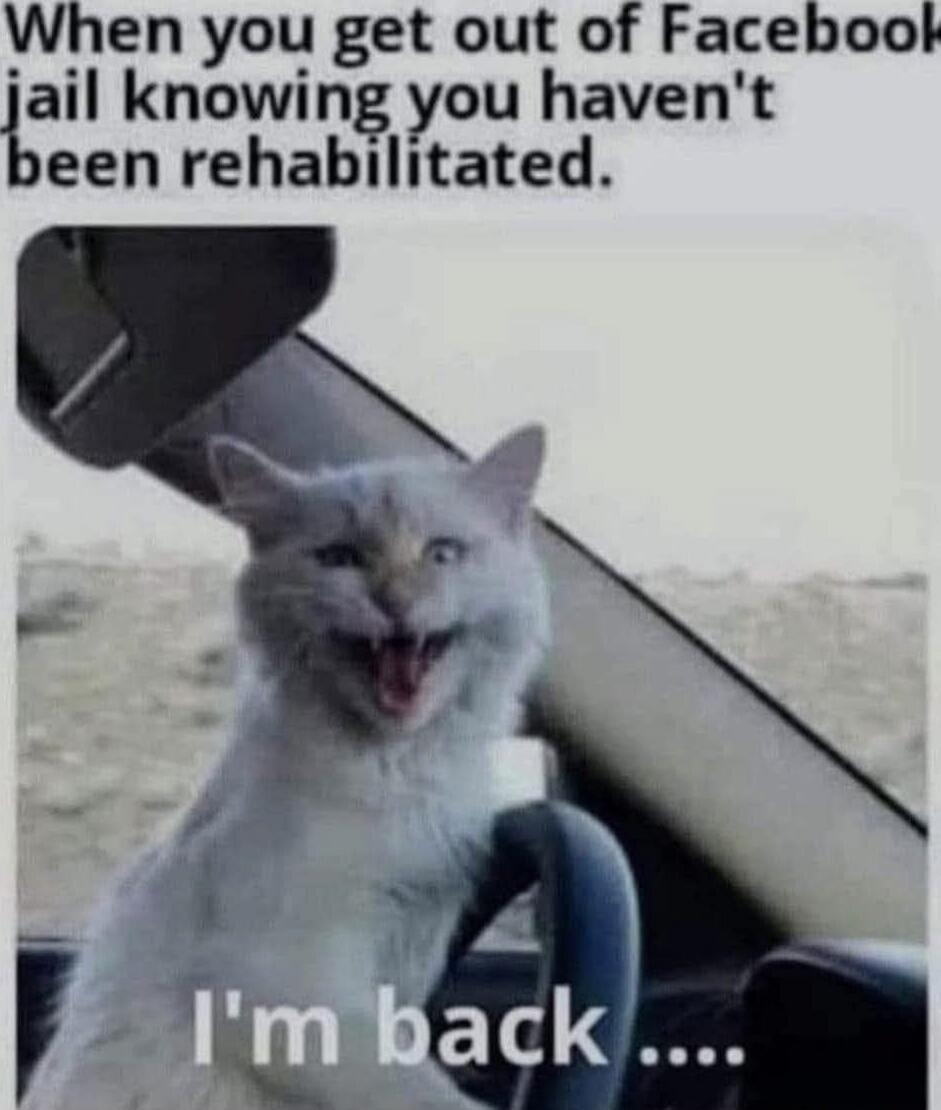 When you get out of Facebook jail knowing you haven't been rehabilitated. I'm back ....
