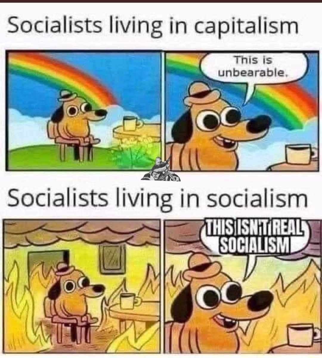Socialists living in capitalism This is unbearable