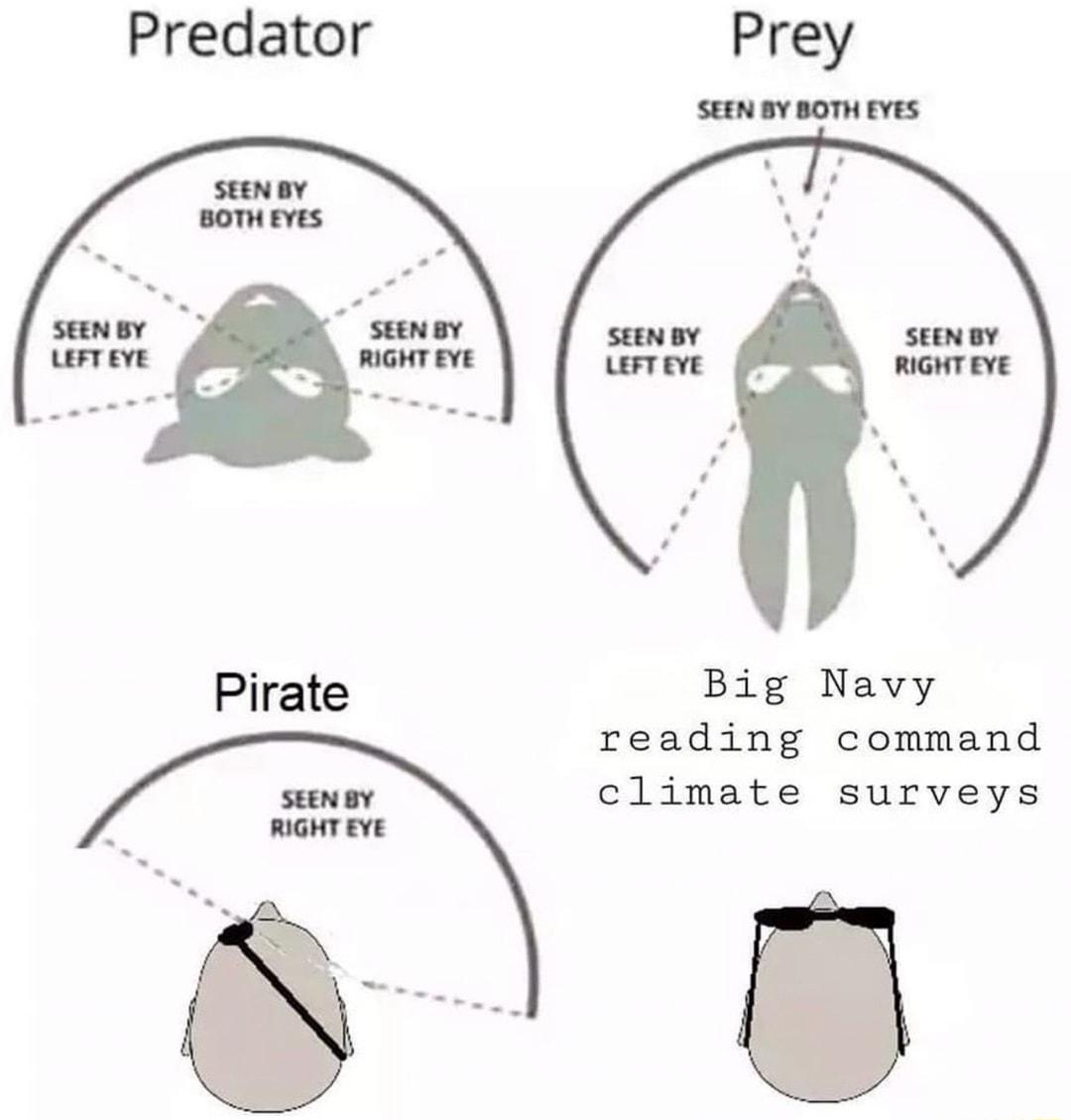 Predator Big Navy reading command climate surveys