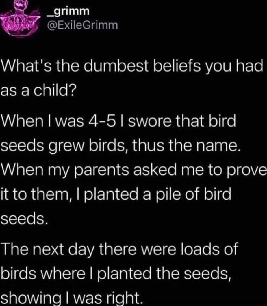 _grimm ExileGrimm Whats the dumbest beliefs you had as a child When was 4 5 swore that bird seeds grew birds thus the name When my parents asked me to prove ISR G AN T e E RolllXel Helle SIETETO N The next day there were loads of birds where planted the seeds showing was right
