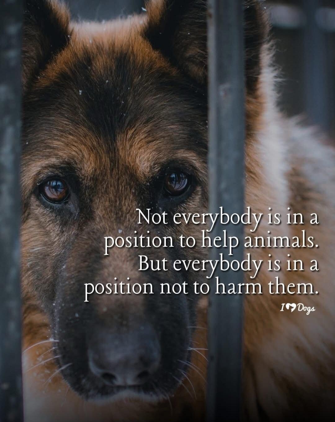 Not everybody is in a position to help animals. But everybody is in a position not to harm them.