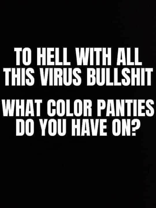 T0 HELL WITH ALL THIS VIRUS BULLSHIT WHAT GOLOR PANTIES DO YOU HAVE ON