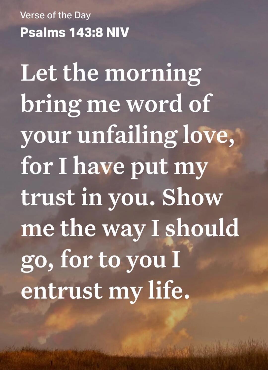 Verse of the Day Psalms 143:8 NIV Let the morning bring me word of your unfailing love, for I have put my trust in you. Show me the way I should go, for to you I entrust my life.
