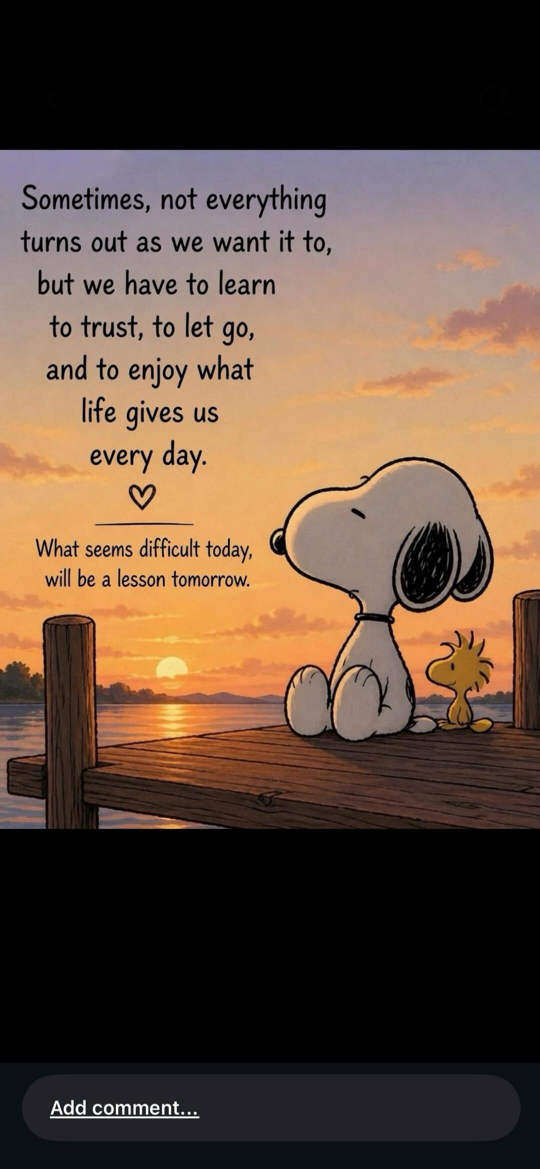 Sometimes, not everything turns out as we want it to, but we have to learn to trust, to let go, and to enjoy what life gives us every day. What seems difficult today, will be a lesson tomorrow.