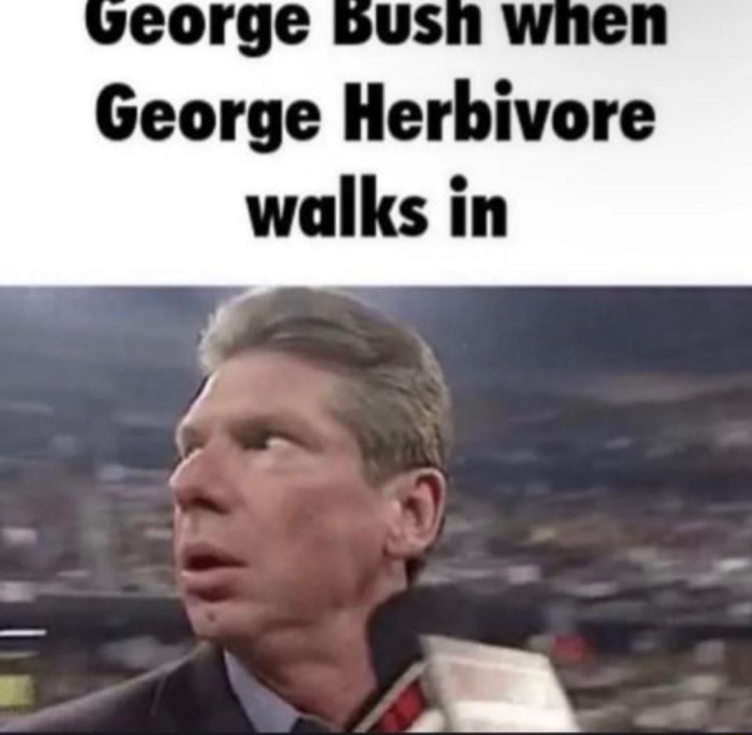 eorge bus George Herbivore walks in