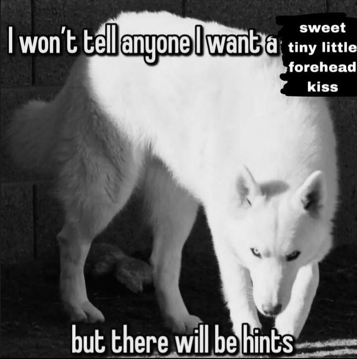 1 sweet A want i Tt forehead kiss but there will belhinEs s