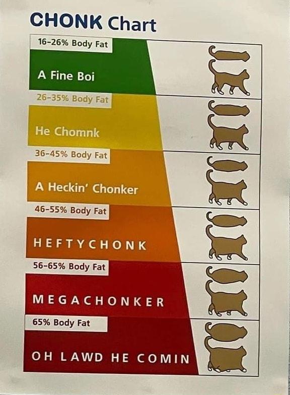 CHONK Chart 16 26 Body Fat A Fine Boi He Chomnk 36 45 Body Fat T I A Heckin Chonker I 56 65 Body Fat EGACHONKER 65 Body Fat OH LAWD HE COMIN