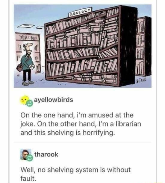 On the one hand im amused at the joke On the other hand Im a librarian and this shelving is horrifying tharook Well no shelving system is without fault