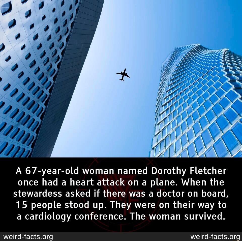 A 67 year old woman named Dorothy Fletcher once had a heart attack on a plane When the stewardess asked if there was a doctor on board 15 people stood up They were on their way to a cardiology conference The woman survived P T