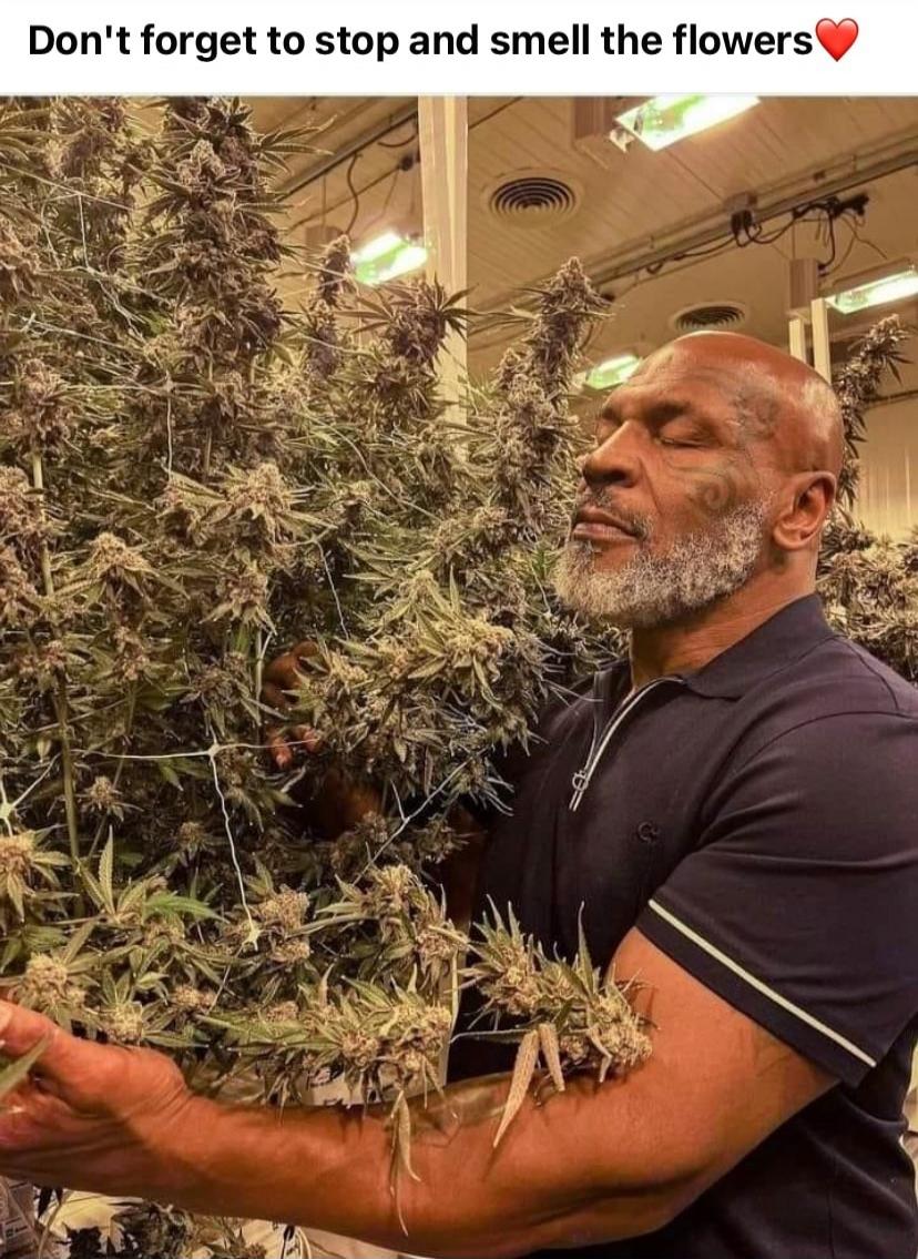 Don't forget to stop and smell the flowers❤️