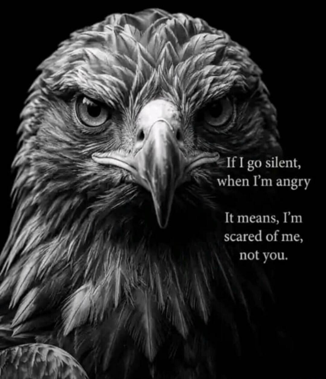If I go silent, when I'm angry It means, I'm scared of me, not you.