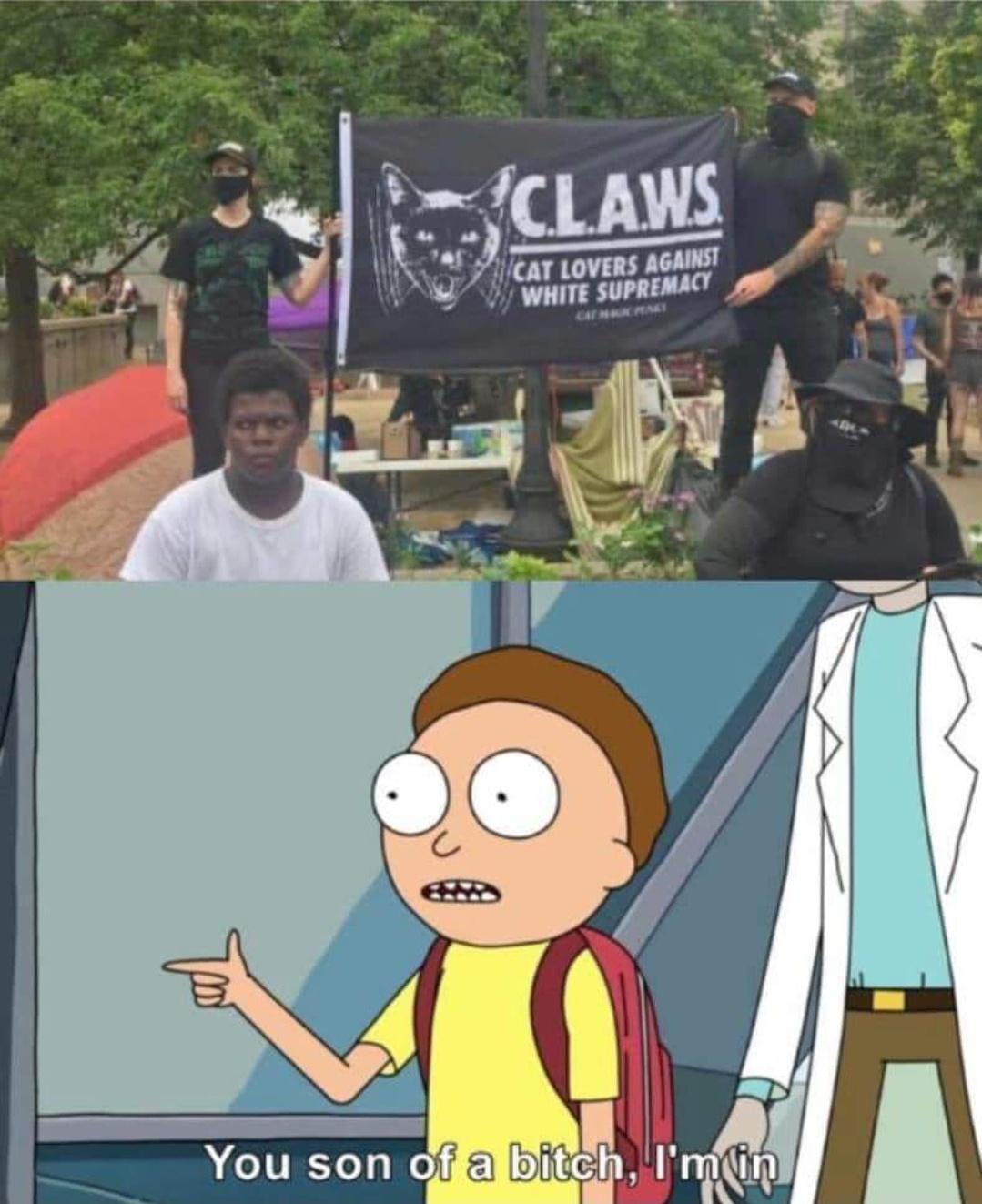 7 0 FACLAWS l N CAT LOVERS AGAINST 2 1 WHITE SUPREMACY N