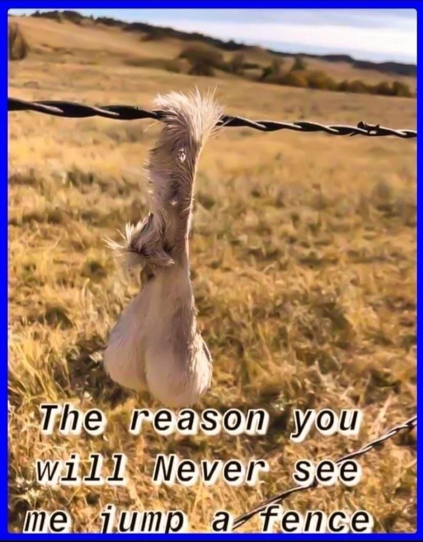 The reason you will never see me jump a fence