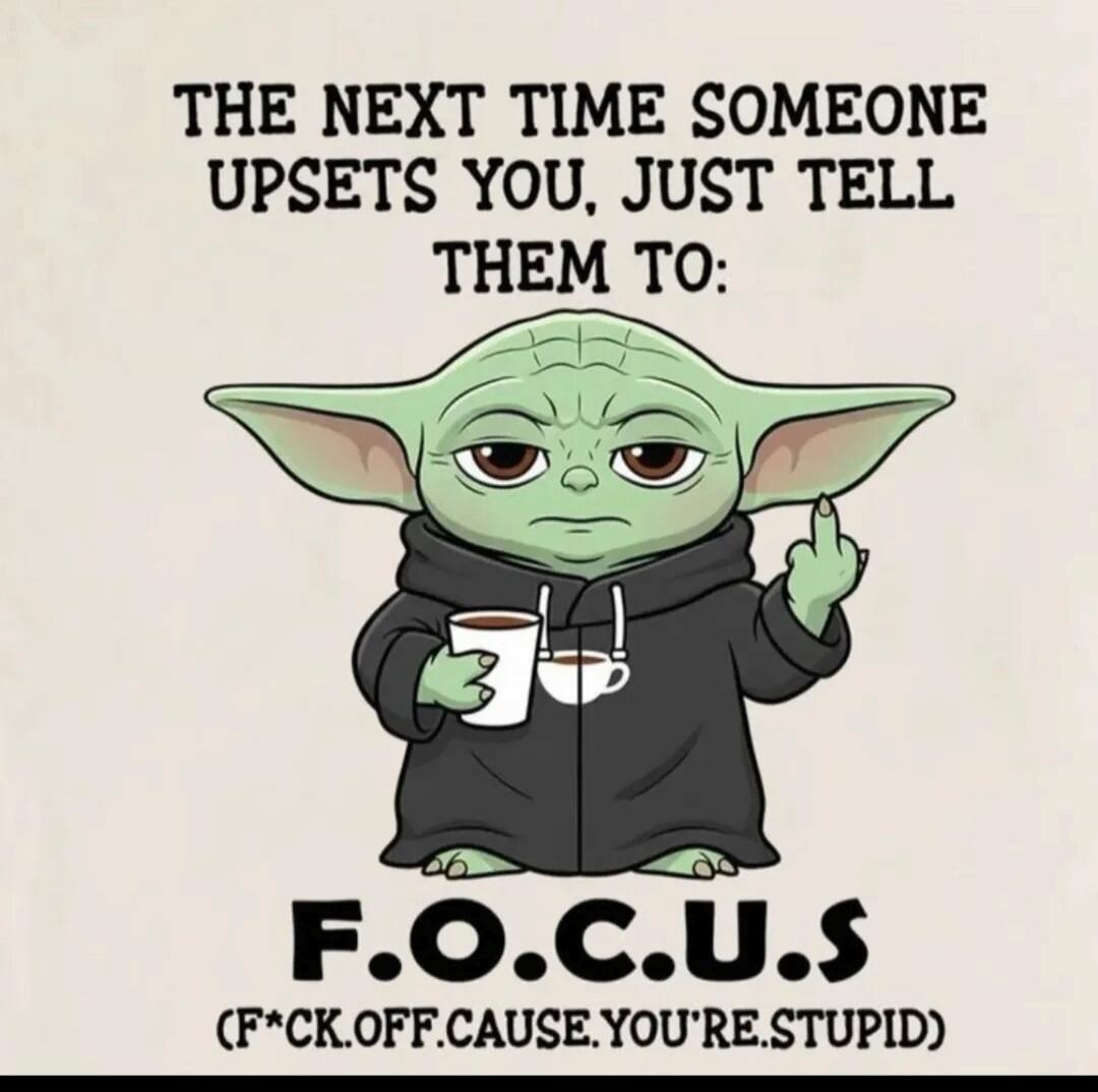 THE NEXT TIME SOMEONE UPSETS YOU, JUST TELL THEM TO: F.O.C.U.S (F*CK.OFF.CAUSE.YOU'RE.STUPID)