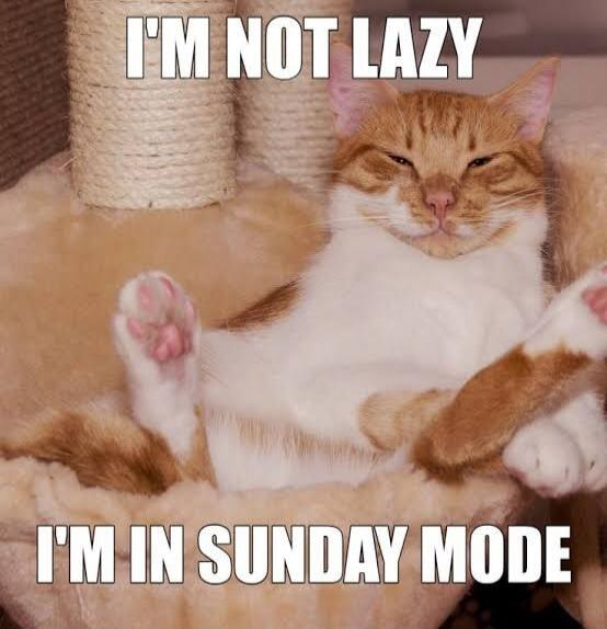 I'M NOT LAZY I'M IN SUNDAY MODE