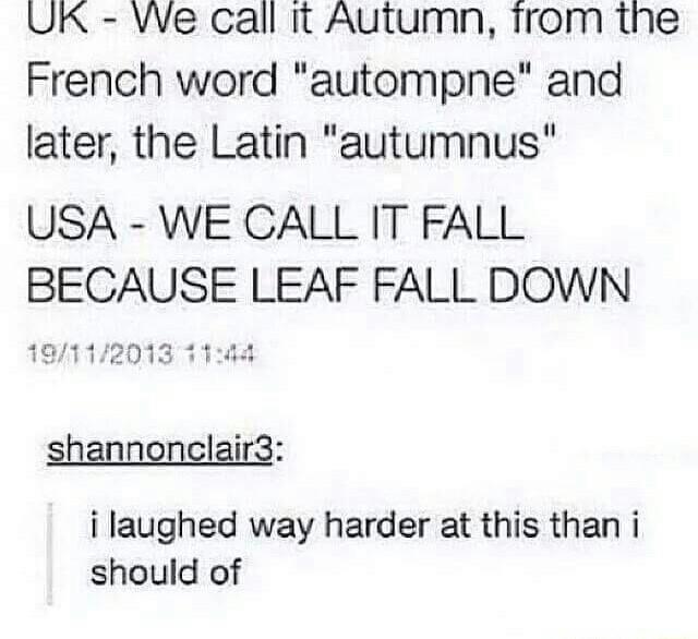 UK We call it Autumn from the French word autompne and later the Latin autumnus USA WE CALL IT FALL BECAUSE LEAF FALL DOWN 19112013 1144 shannonclair3 i laughed way harder at this than i should of