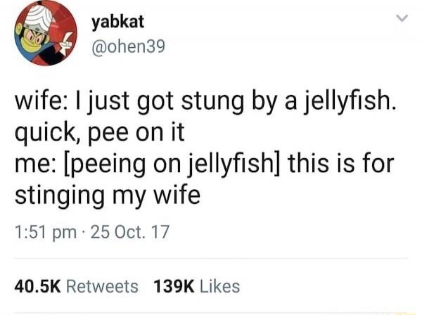 wife: I just got stung by a jellyfish. quick, pee on it me: [peeing on jellyfish] this is for stinging my wife