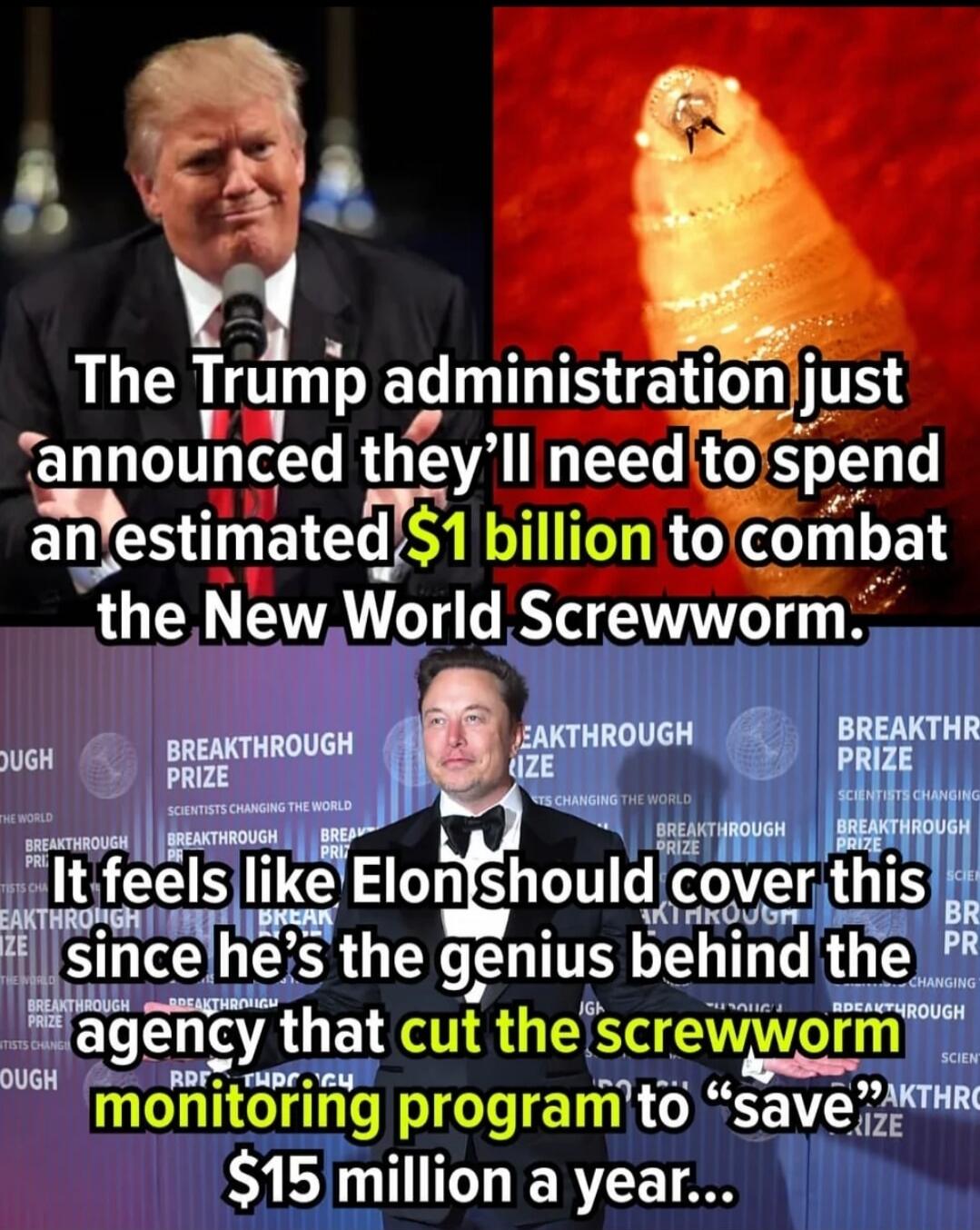 The Trump administration just announced they'll need to spend an estimated $1 billion to combat the New World Screwworm. It feels like Elon should cover this since he's the genius behind the agency that cut the screwworm monitoring program to 