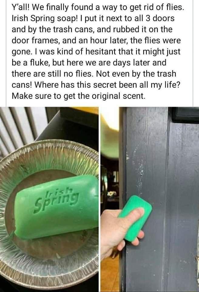Yall We finally found a way to get rid of flies Irish Spring soap put it next to all 3 doors and by the trash cans and rubbed it on the door frames and an hour later the flies were gone was kind of hesitant that it might just be a fluke but here we are days later and there are still no flies Not even by the trash cans Where has this secret been all my life Make sure to get the original scent