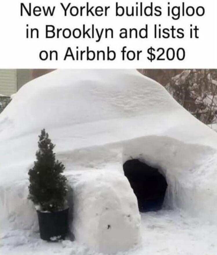 New Yorker builds igloo in Brooklyn and lists it on Airbnb for 200 e