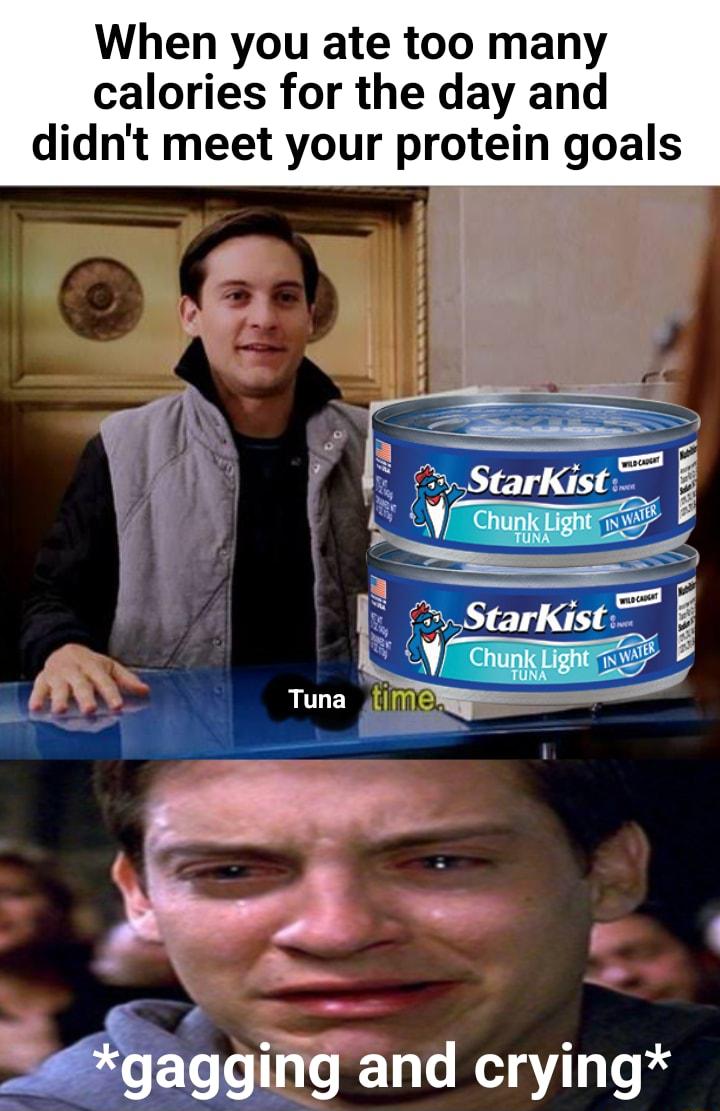 When you ate too many calories for the day and didnt meet your protein goals Y o se KitE a farKist p y PR Ml Zgaggig and crying