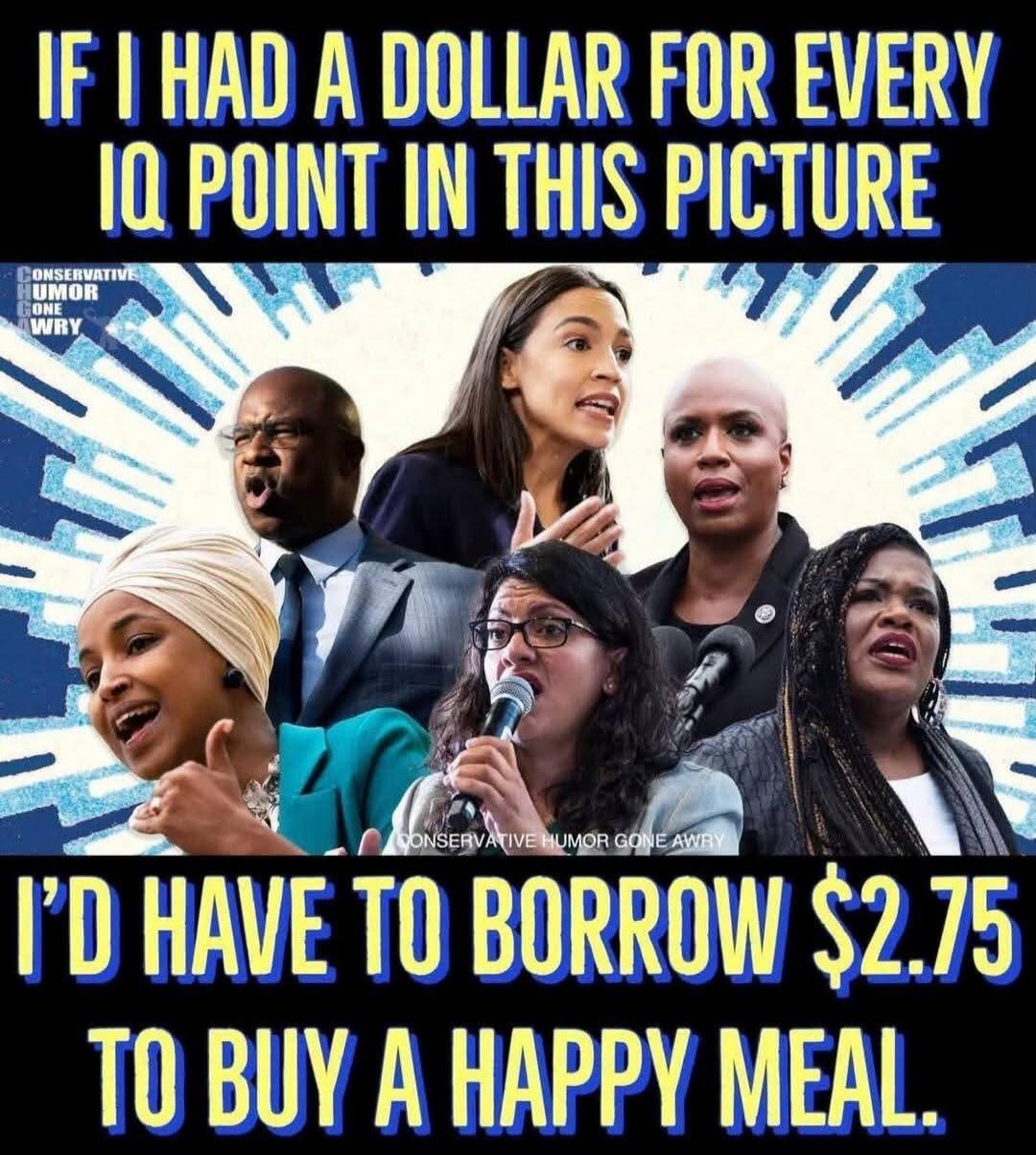 IF I HAD A DOLLAR FOR EVERY IQ POINT IN THIS PICTURE, I'D HAVE TO BORROW $2.75 TO BUY A HAPPY MEAL. CONSERVATIVE HUMOR GONE AWRY.