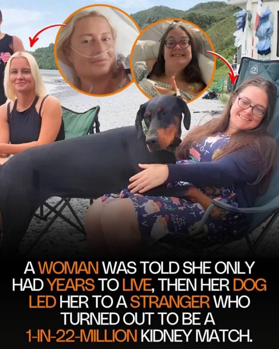 A woman was told she only had years to live, then her dog led her to a stranger who turned out to be a 1-in-22-million kidney match.