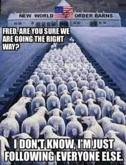 NEW WORLD ORDER BARNS. FRED, ARE YOU SURE WE ARE GOING THE RIGHT WAY? I DON'T KNOW, I'M JUST FOLLOWING EVERYONE ELSE.