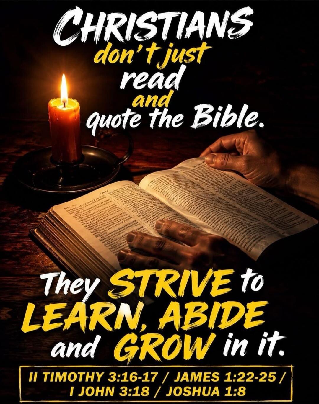 CHRISTIANS don't just read and quote the Bible. They STRIVE to LEARN, ABIDE and GROW in it. II TIMOTHY 3:16-17 / JAMES 1:22-25 / I JOHN 3:18 / JOSHUA 1:8