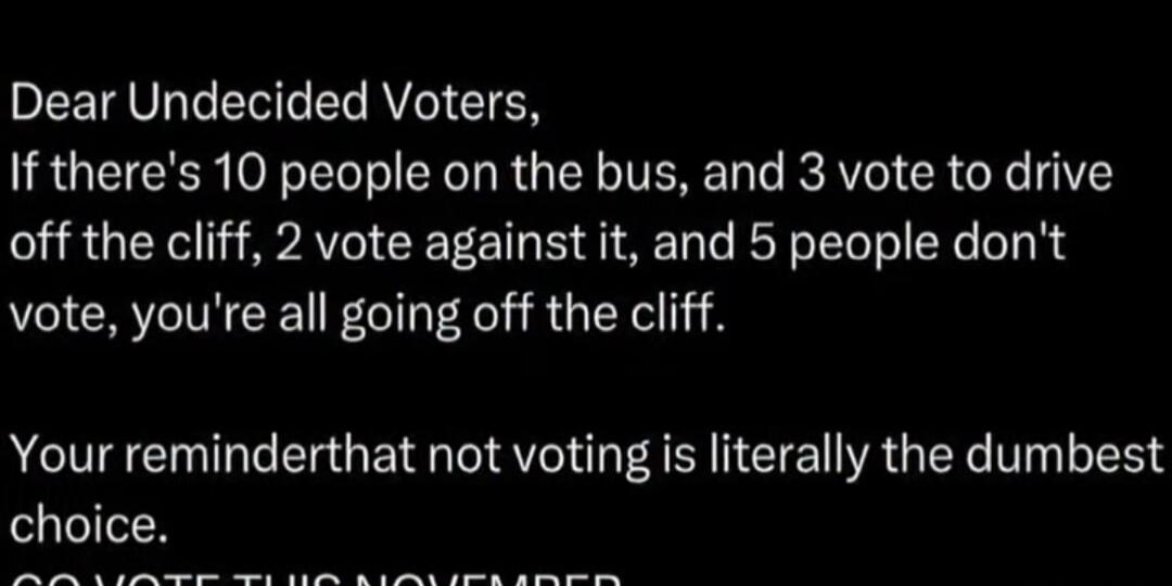 Dear Undecided Voters, If there's 10 people on the bus, and 3 vote to drive off the cliff, 2 vote against it, and 5 people don't vote, you're all going off the cliff. Your reminder that not voting is literally the dumbest choice. GO VOTE THIS NOVEMBER