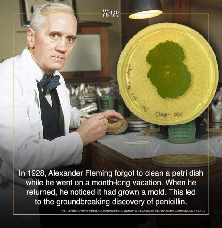 In 1928 Alexander Fleming forgot to clean a petri dish while he went on a month long vacation When he returned he noticed it had grown a mold This led o the groundbreaking discovery of penicilln