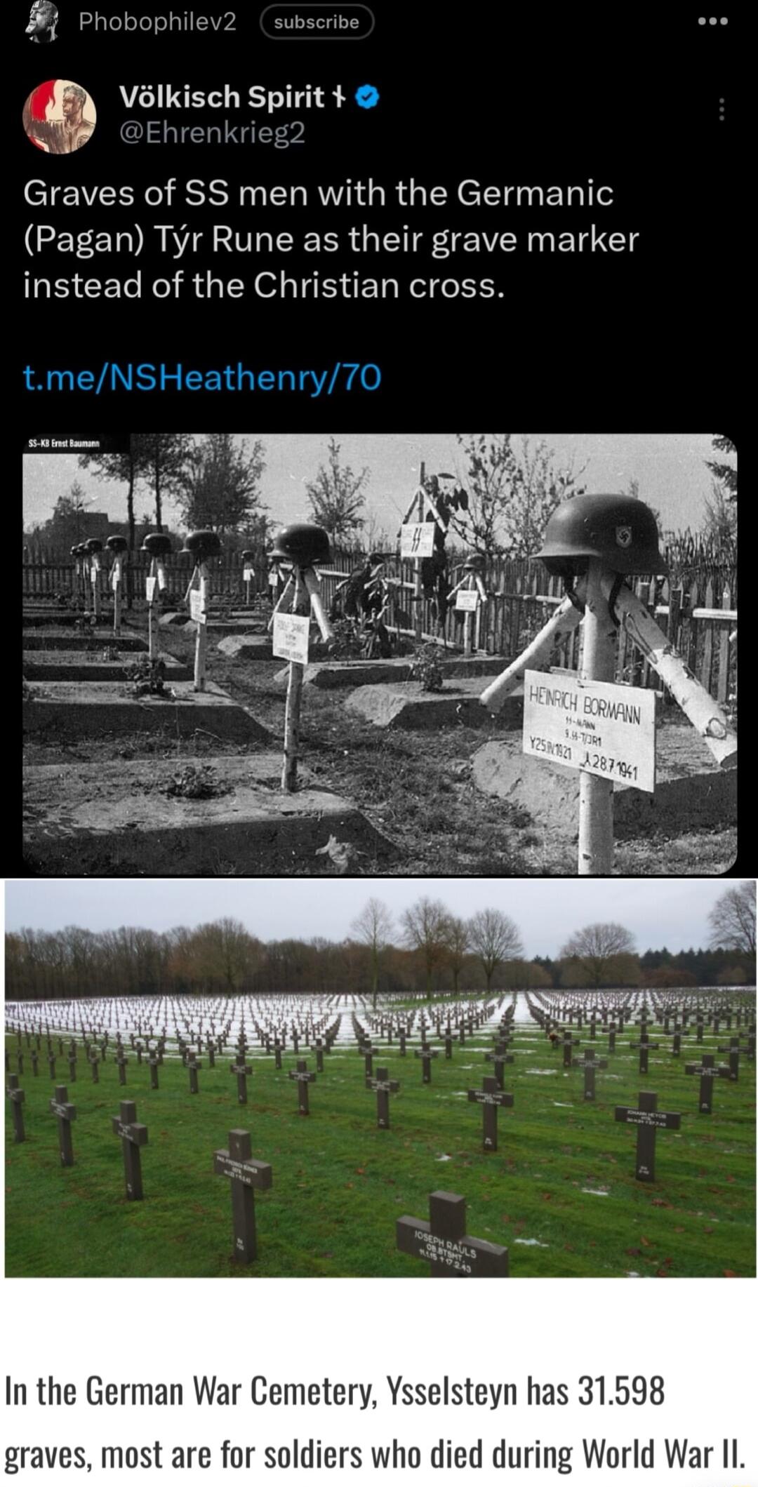 Vlkisch Spirit 3 Graves of SS men with the Germanic Pagan Tyr Rune as their grave marker instead of the Christian cross In the German War Cemetery Ysselsteyn has 31598 graves most are for soldiers who died during World War 1