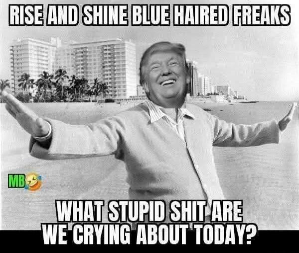 RISE AND SHINE BLUE HAIRED FREAKS
WHAT STUPID SHIT ARE WE CRYING ABOUT TODAY?