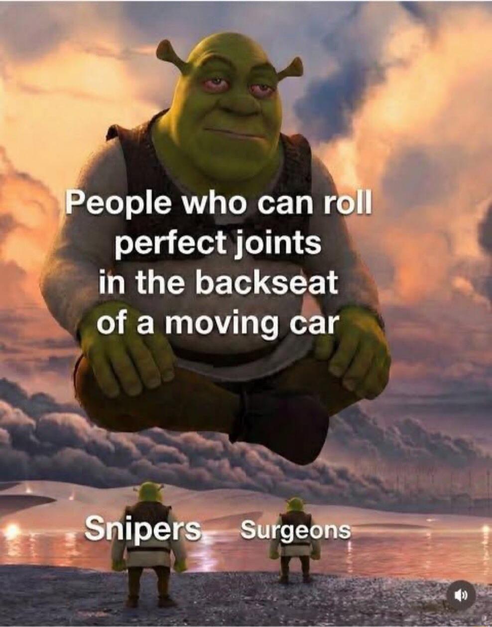 People who can roll perfect joints in the backseat of a moving car Snipers Surgeons