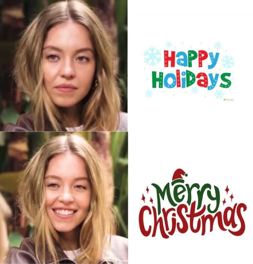 Happy Holidays
Merry Christmas