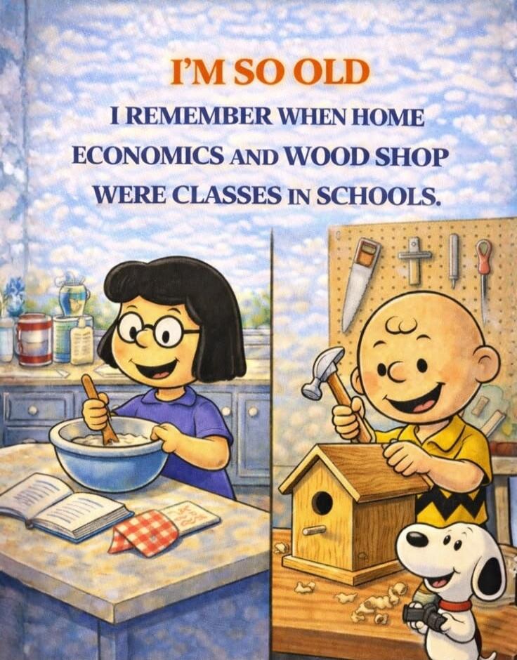 I'M SO OLD I REMEMBER WHEN HOME ECONOMICS AND WOOD SHOP WERE CLASSES IN SCHOOLS.