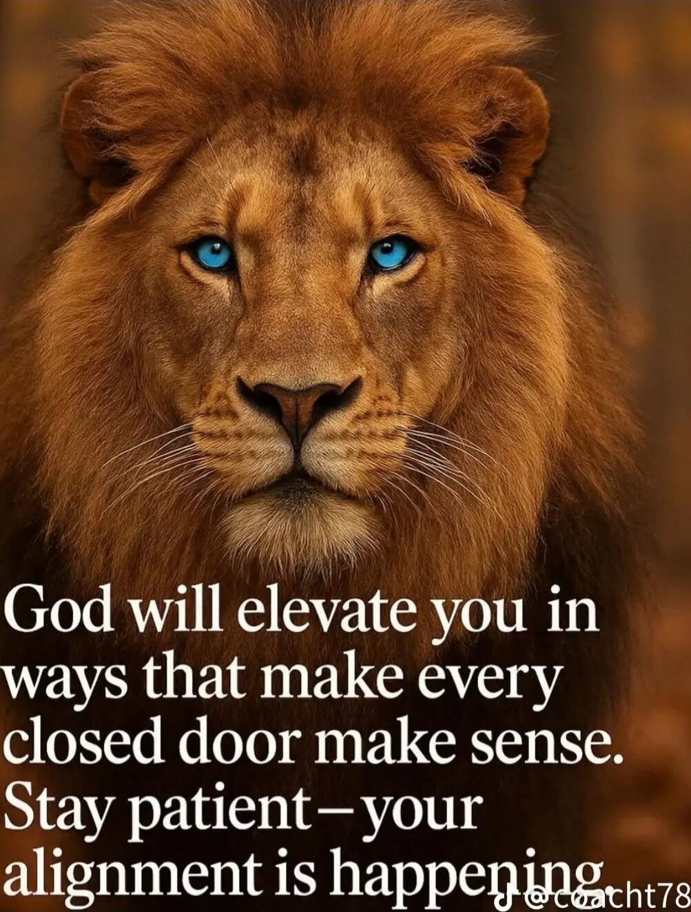 God will elevate you in ways that make every closed door make sense. Stay patient – your alignment is happening