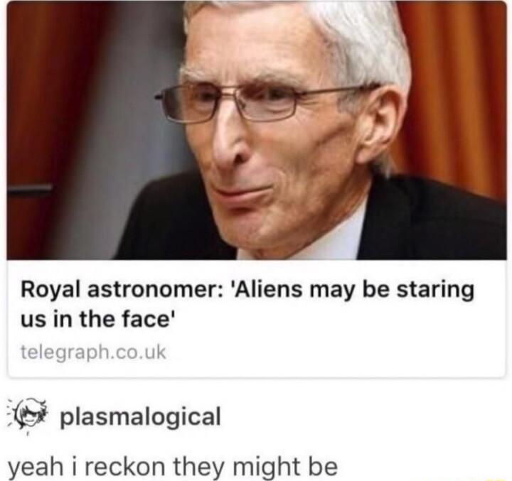 Royal astronomer Aliens may be staring us in the face plasmalogical yeah i reckon they might be