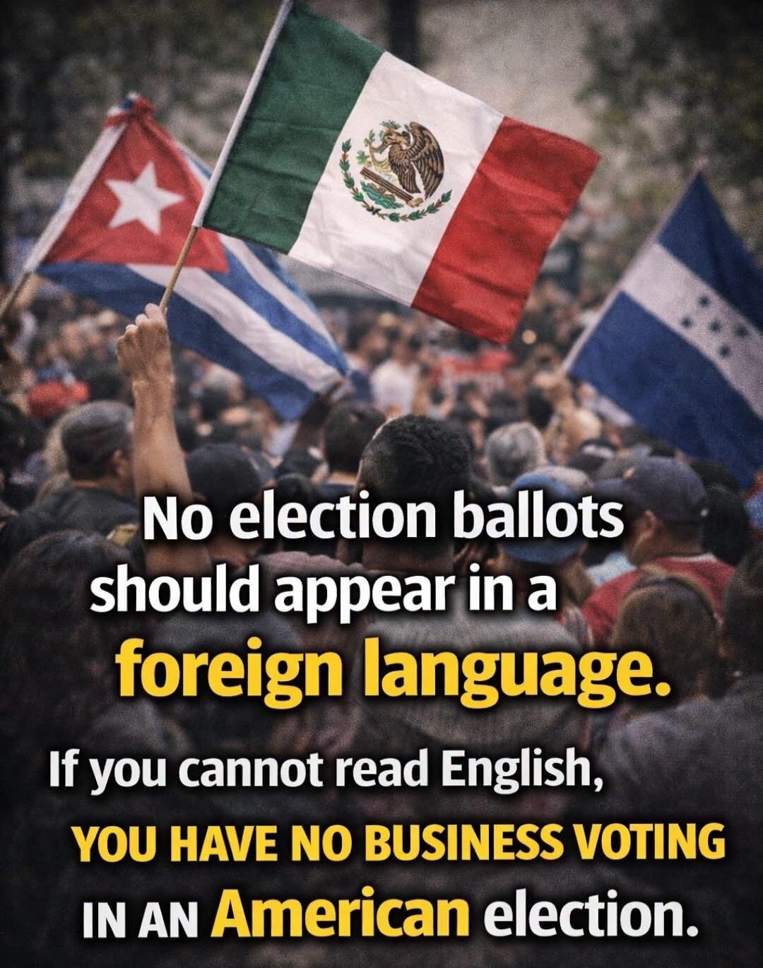 No election ballots should appear in a foreign language. If you cannot read English, YOU HAVE NO BUSINESS VOTING IN AN American election.