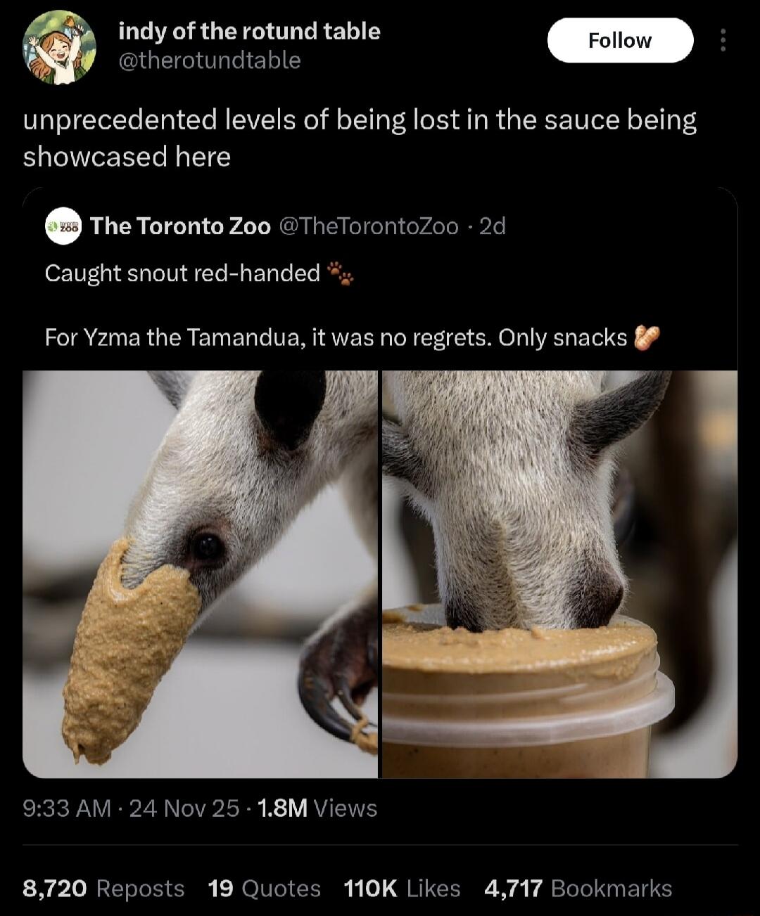 unprecedented levels of being lost in the sauce being showcased here

The Toronto Zoo @TheTorontoZoo · 2d
Caught snout red-handed 🧭
For Yzma the Tamandua, it was no regrets. Only snacks 🍪

[Image: two photos of a tamandua with a chip near its snout and a jar of sauce]
