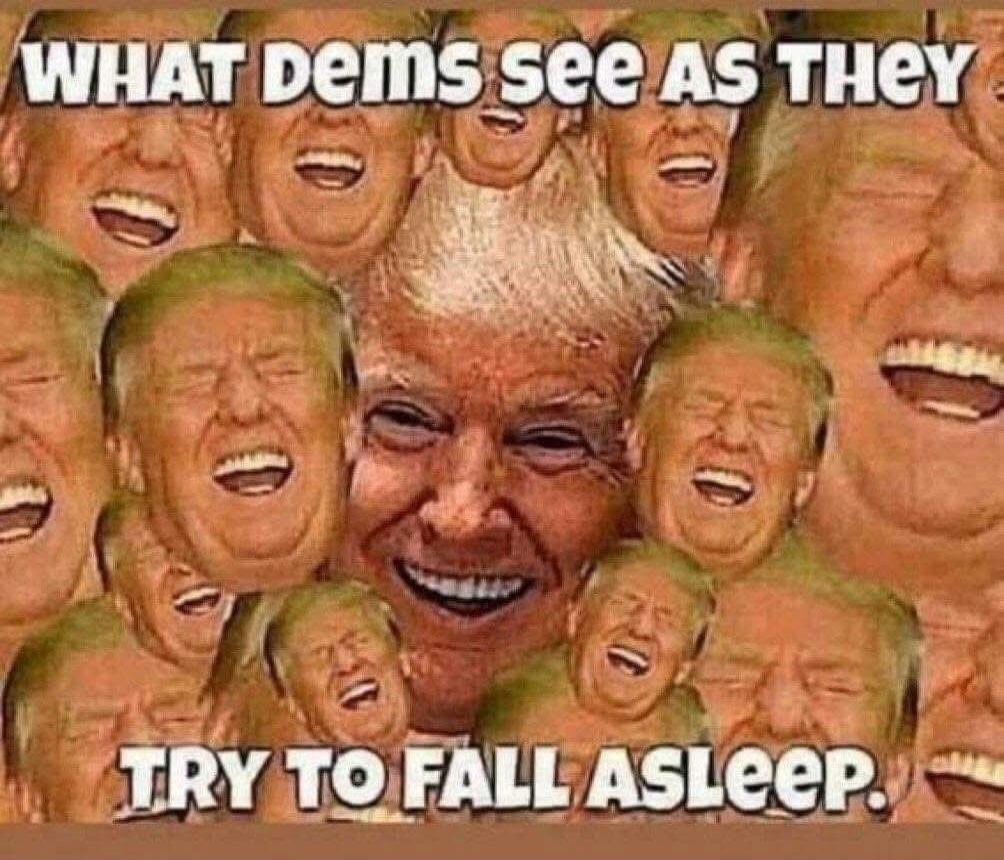 WHAT Dems see AS THEY TRY TO FALL ASLEEP.