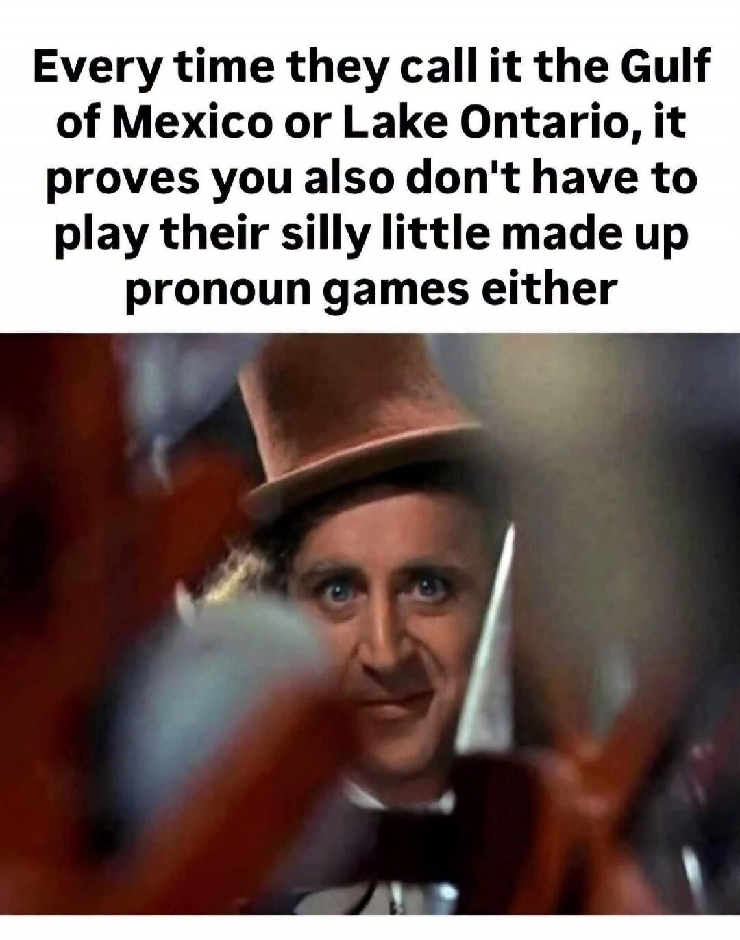 Every time they call it the Gulf of Mexico or Lake Ontario, it proves you also don't have to play their silly little made up pronoun games either