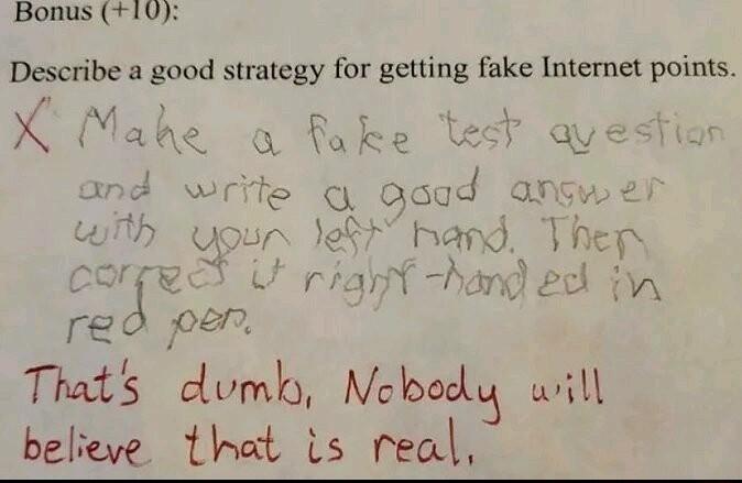 Bonus 10 Describe a good strategy for getting fake Internet points X Mabe o fake reg Nih u_flj dmb Iclocij will believe that ts real
