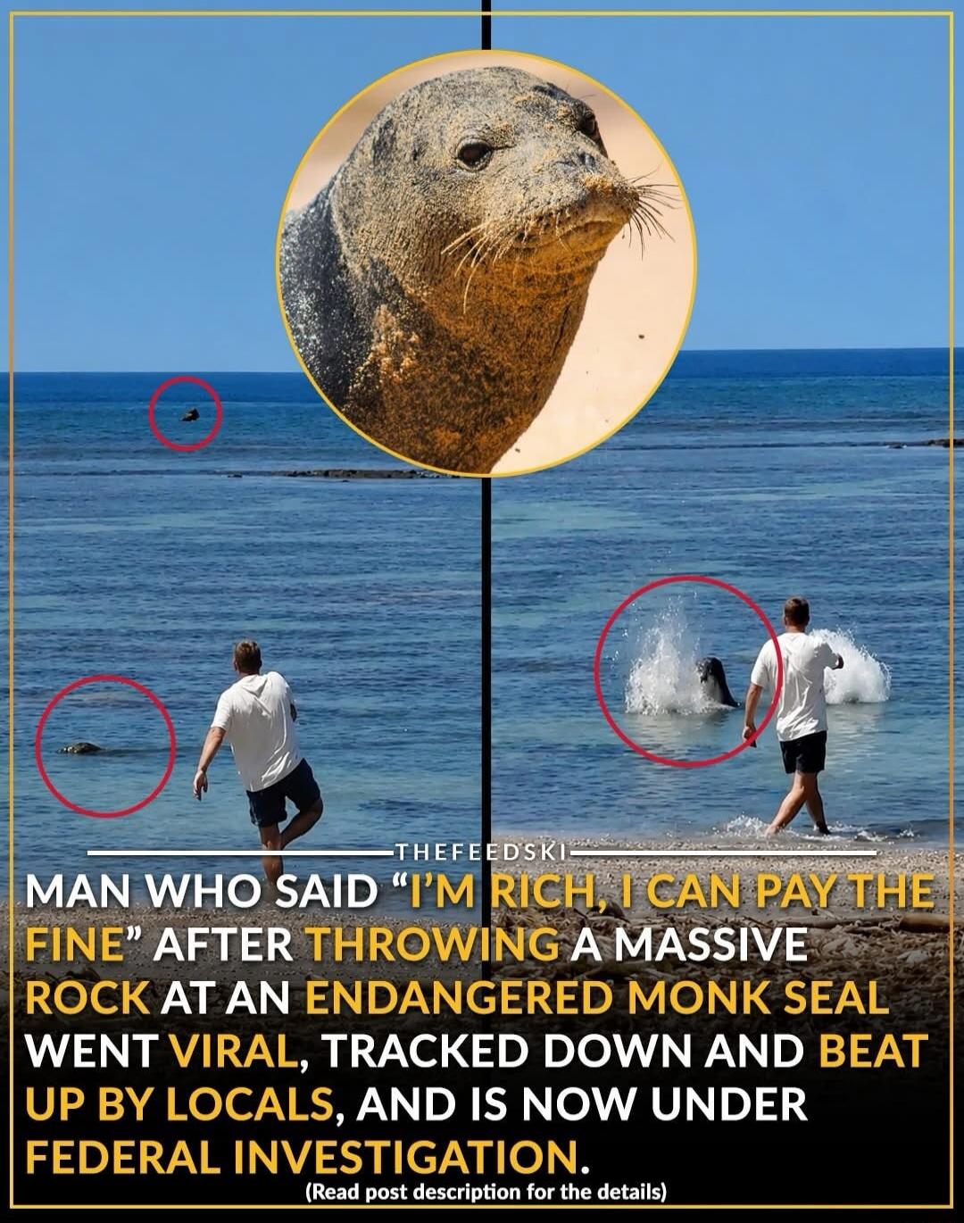 THEFEEDSKI MAN WHO SAID 