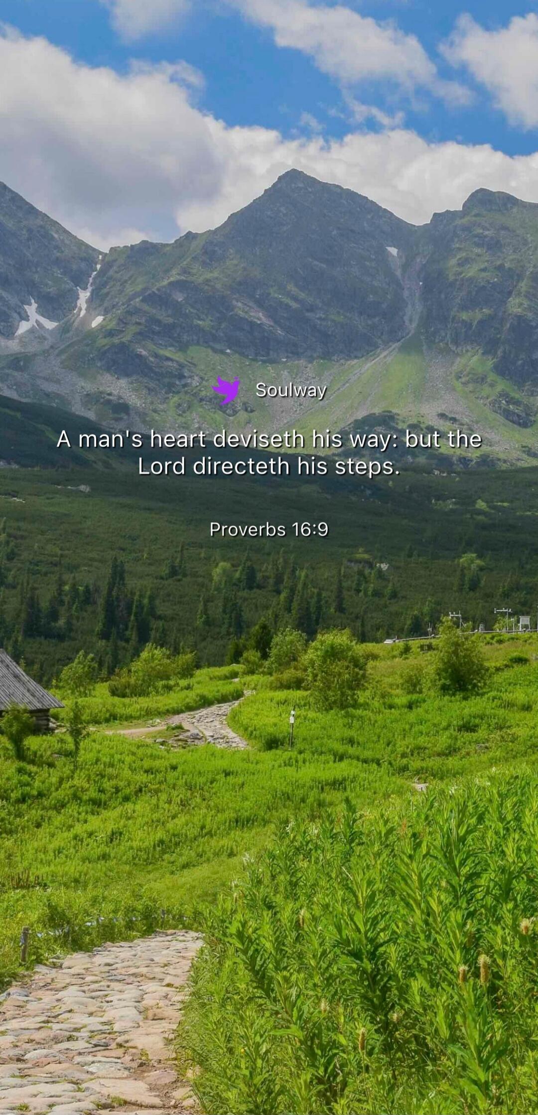 Soulway A man's heart deviseth his way: but the Lord directeth his steps. Proverbs 16:9