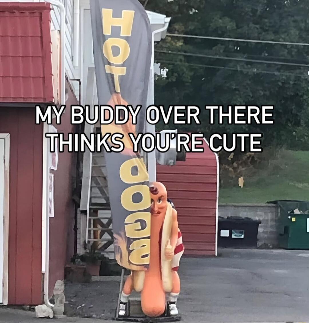 MYBUBDYOVER THERE HINKSYOGRECUTE