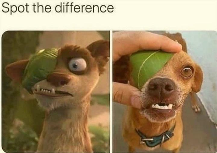 Spot the difference