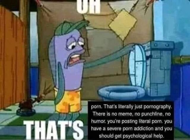 UH THAT'S porn. That's literally just pornography. There is no meme, no punchline, no humor. you're posting literal porn, you have a severe porn addiction and you should get psychological help.