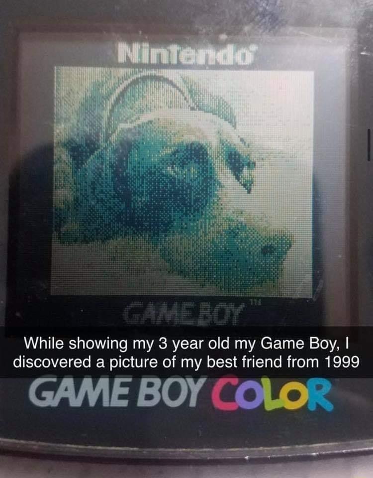 While showing my 3 year old my Game Boy discovered a picture of my best friend from 1999 1310 e Vo 53