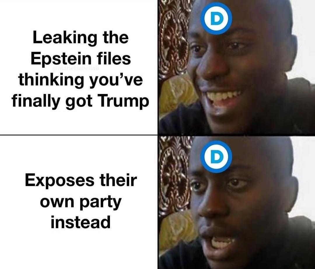 Leaking the Epstein files thinking you’ve finally got Trump
Exposes their own party instead